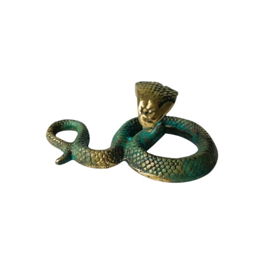 Φίδι μπρούτζινο - Image 1