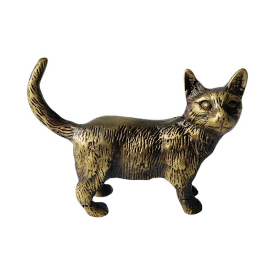 Γάτα μπρούτζινη - Image 2