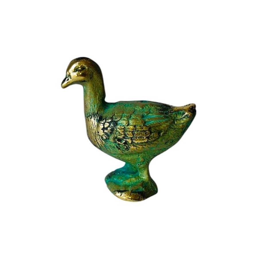 Πάπια μπρούτζινη - Image 1